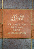 MetsIcelandFan