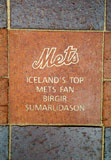 MetsIcelandFan